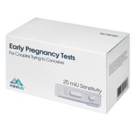 Early Pregnancy Tests