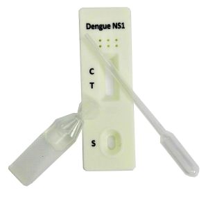 DENGUE TEST (P),