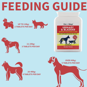 ONE STEP URINARY & BLADDER SUPPORT,